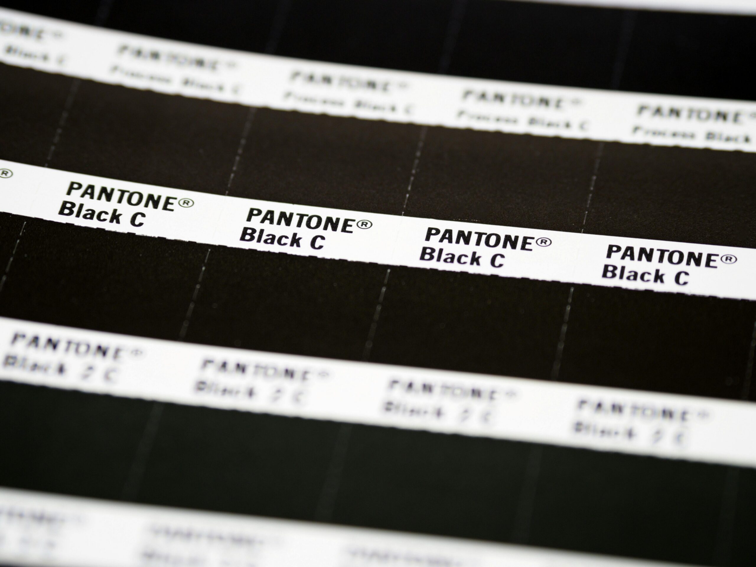 Close-up of Pantone Black C color swatch sheet with several shades displayed.